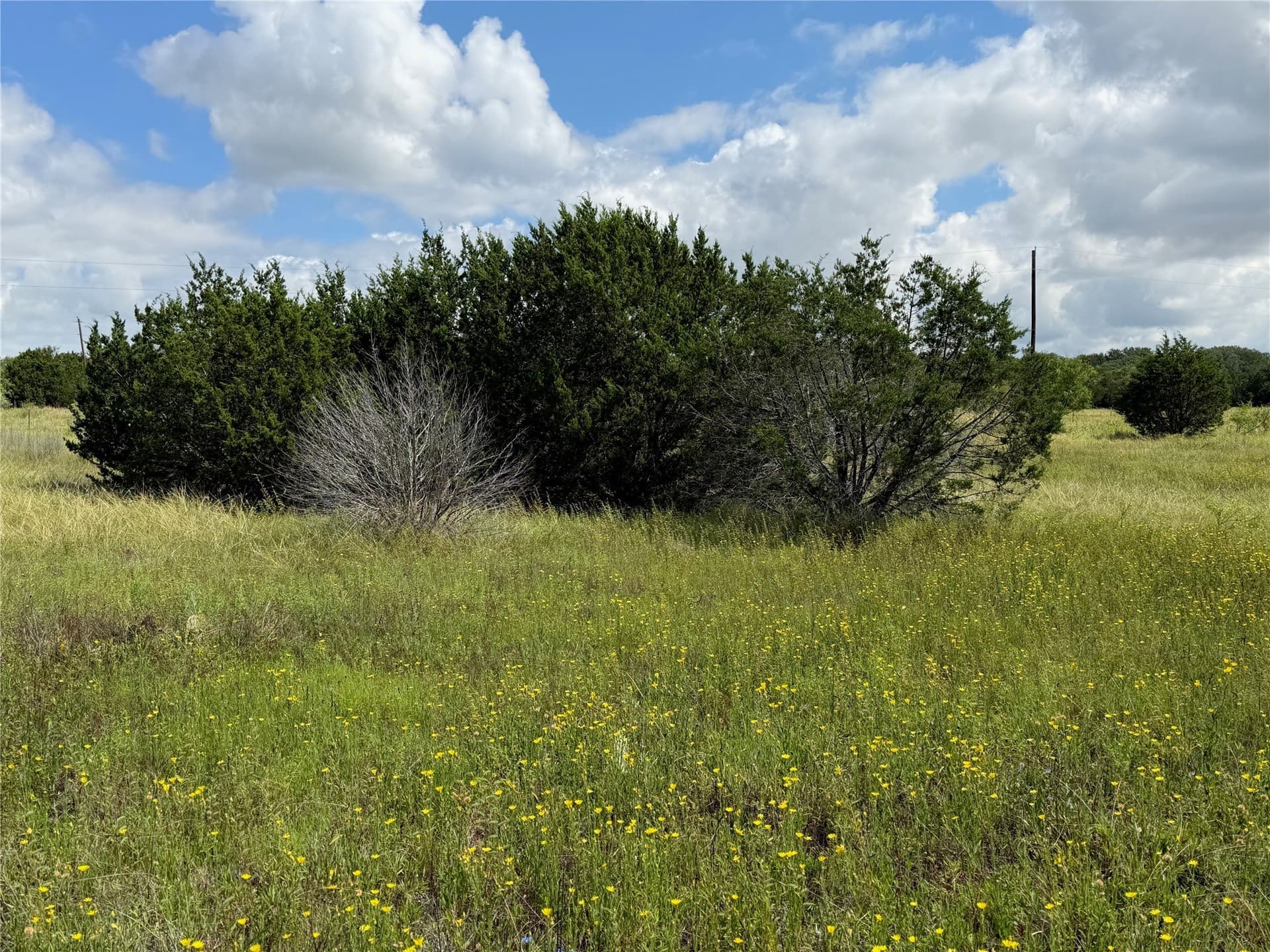 10.2 acres in Brown County - photo 14