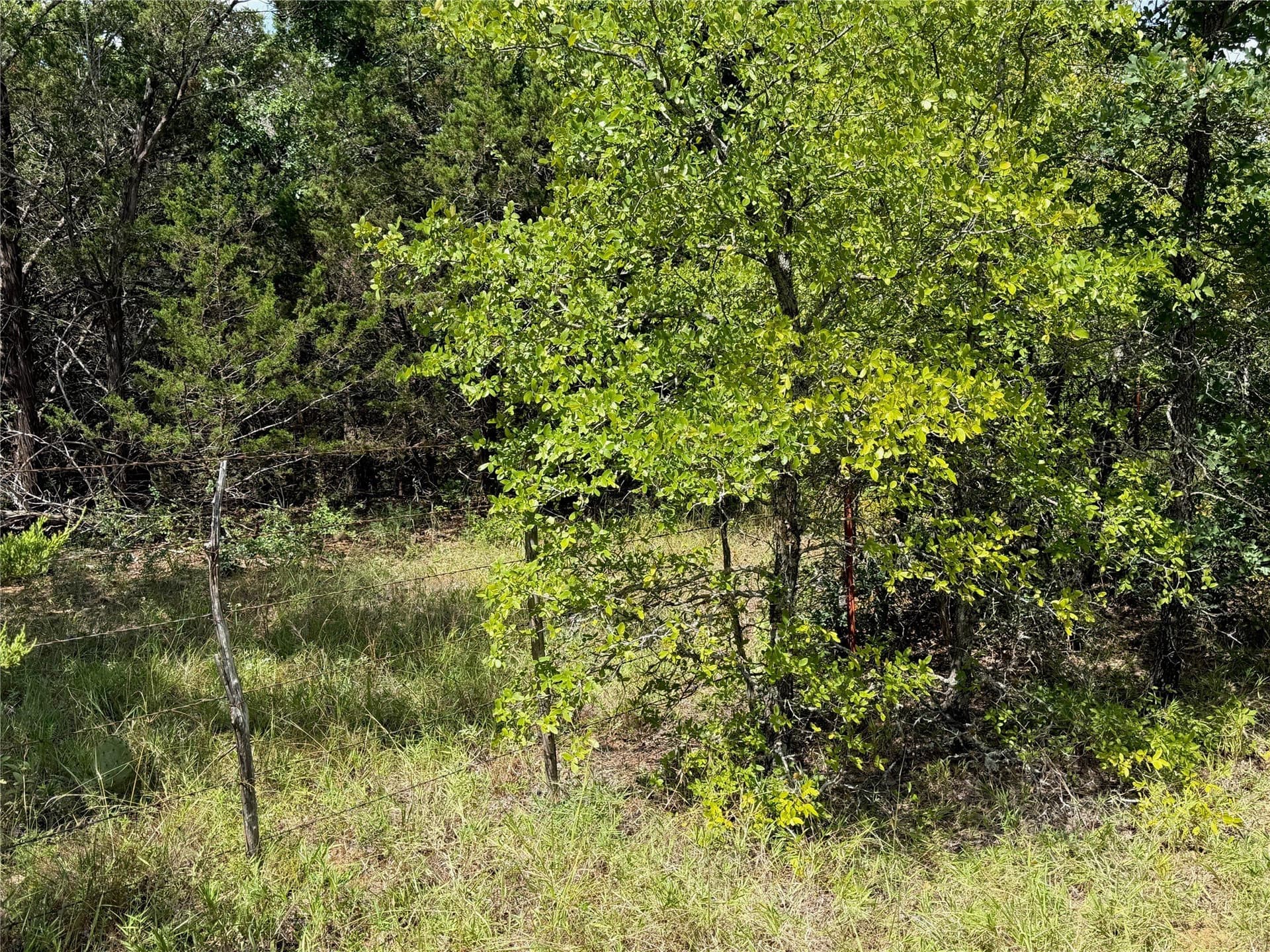10.2 acres in Brown County - photo 26