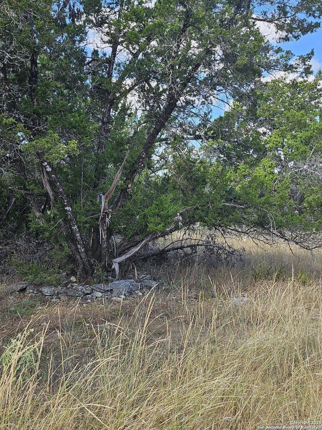 0.39 acres in Comal County gallery image 3