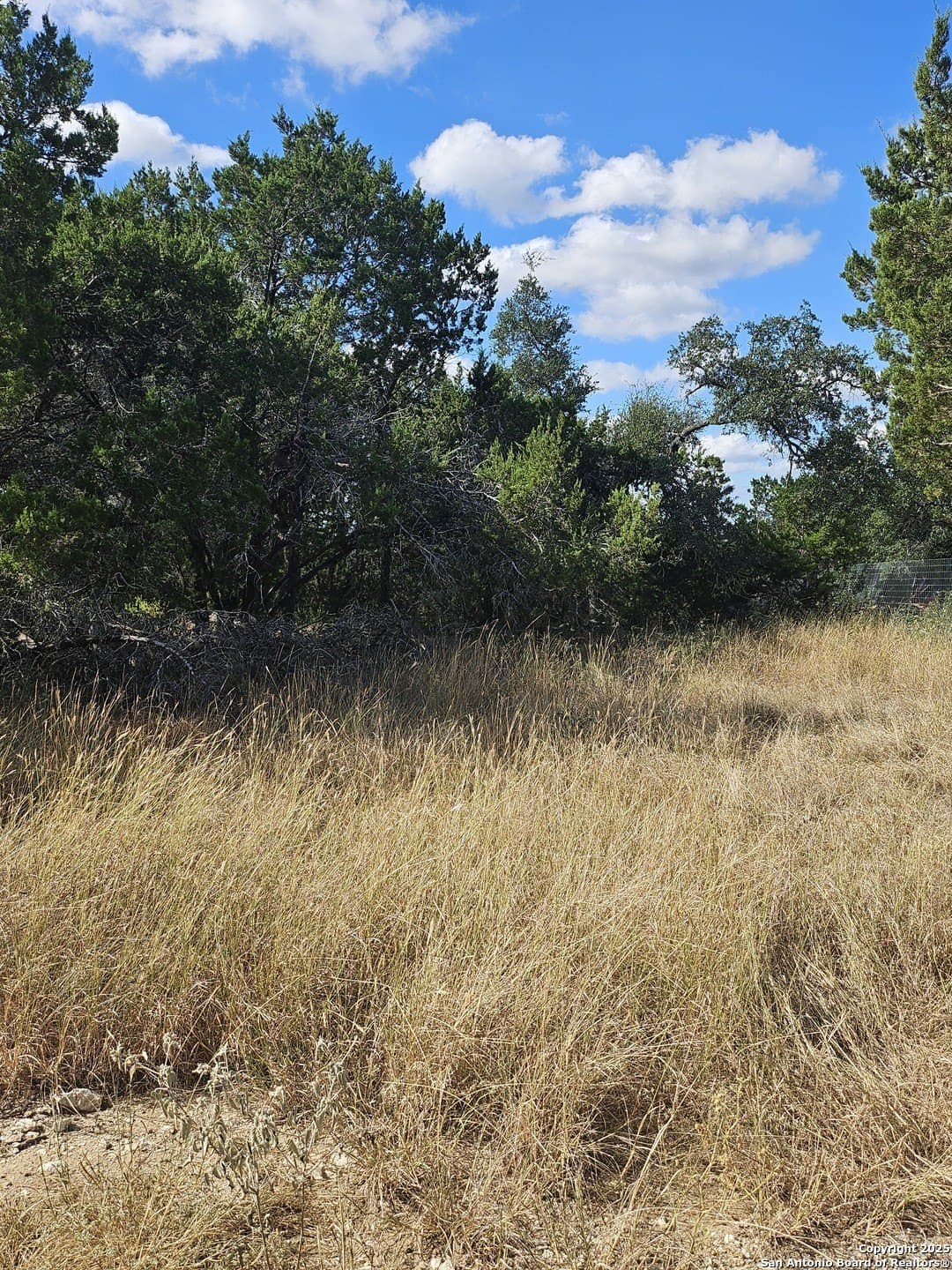 0.39 acres in Comal County - photo 12