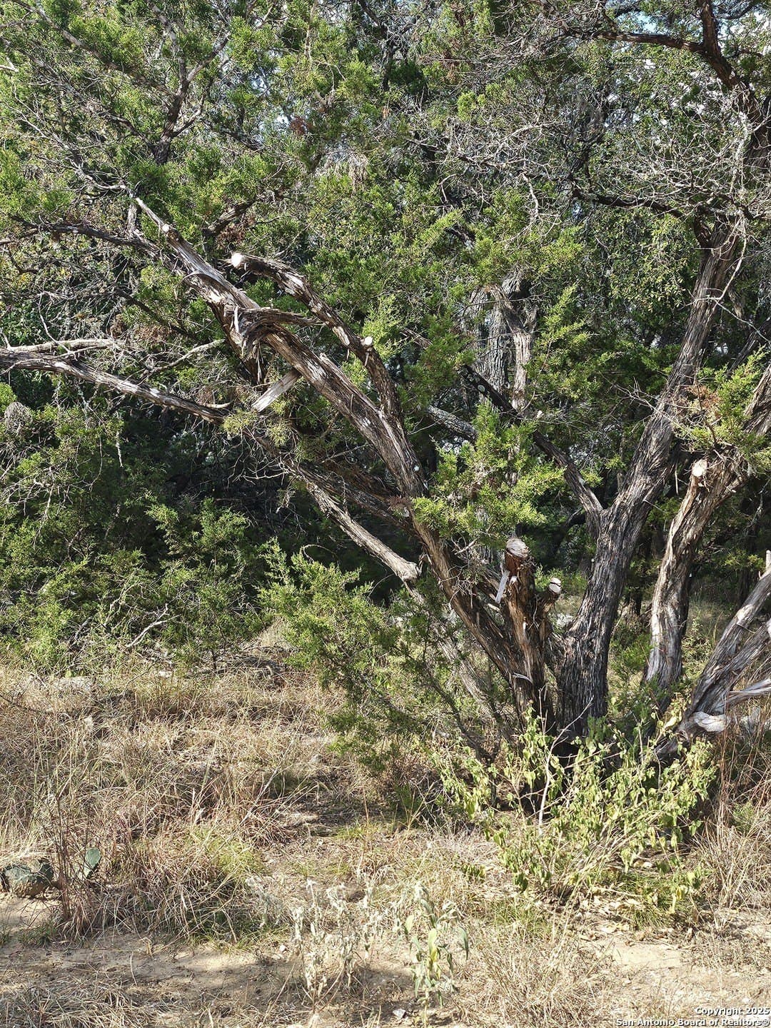 0.39 acres in Comal County - photo 8