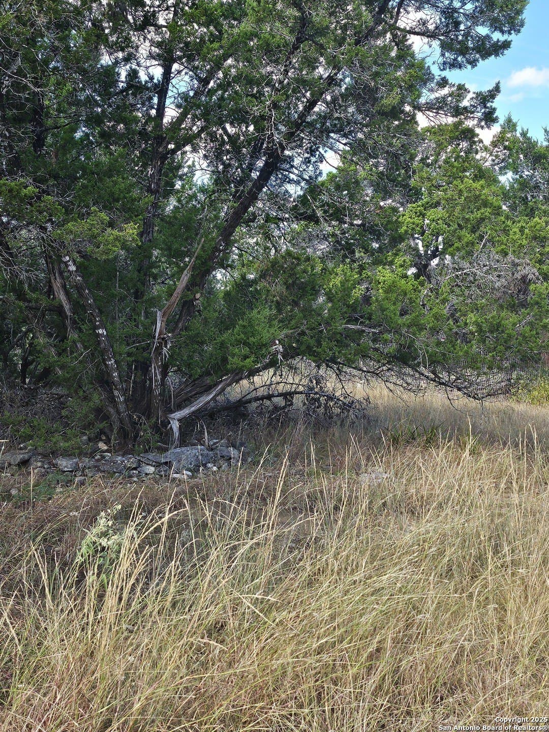 0.39 acres in Comal County - photo 6