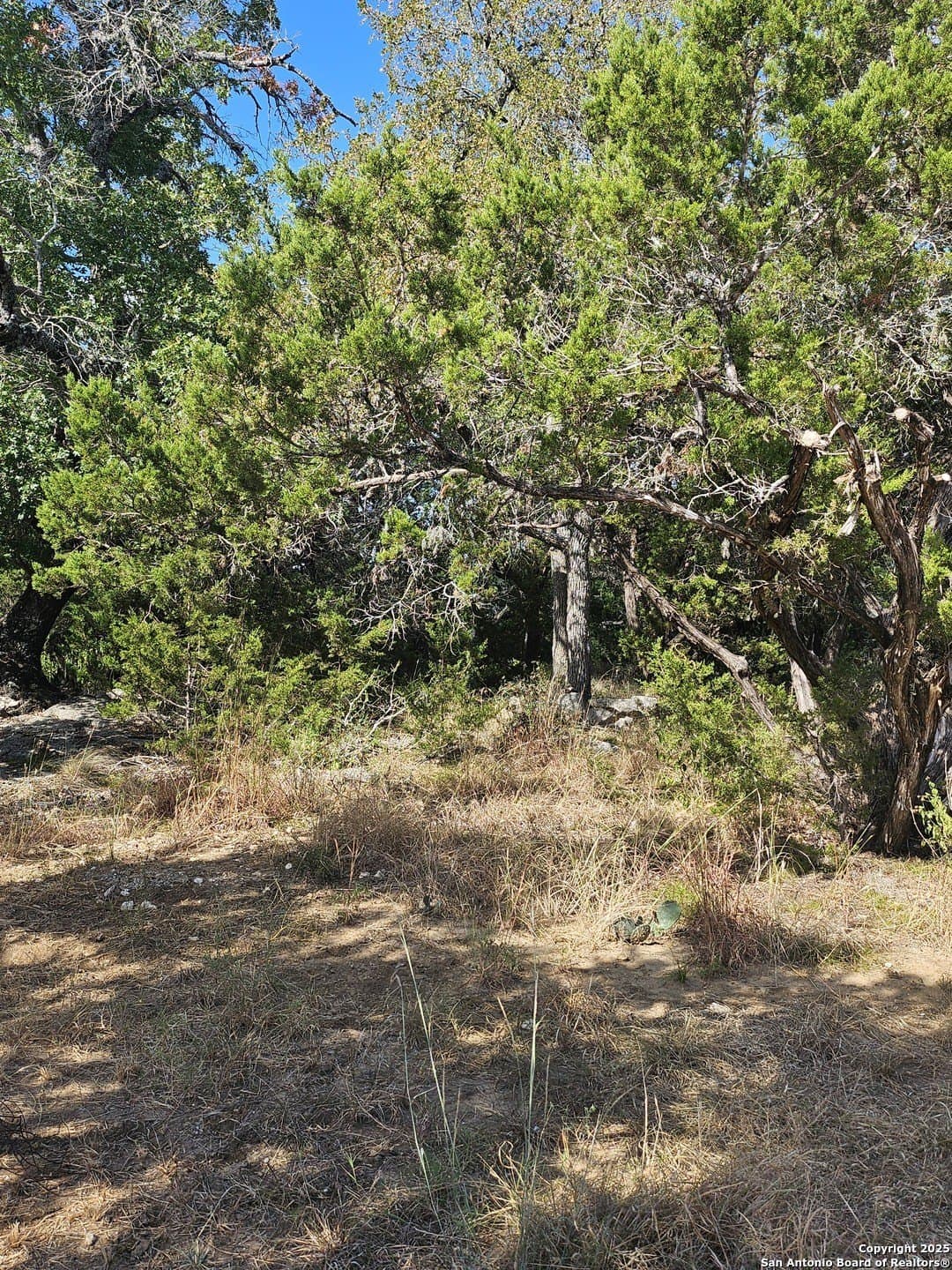 0.39 acres in Comal County - photo 10