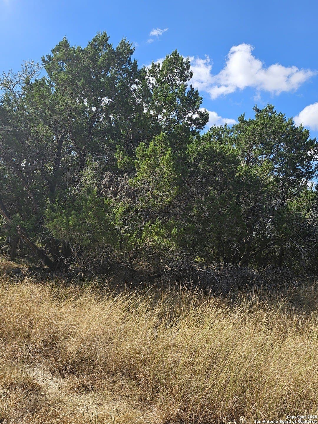 0.39 acres in Comal County - photo 13