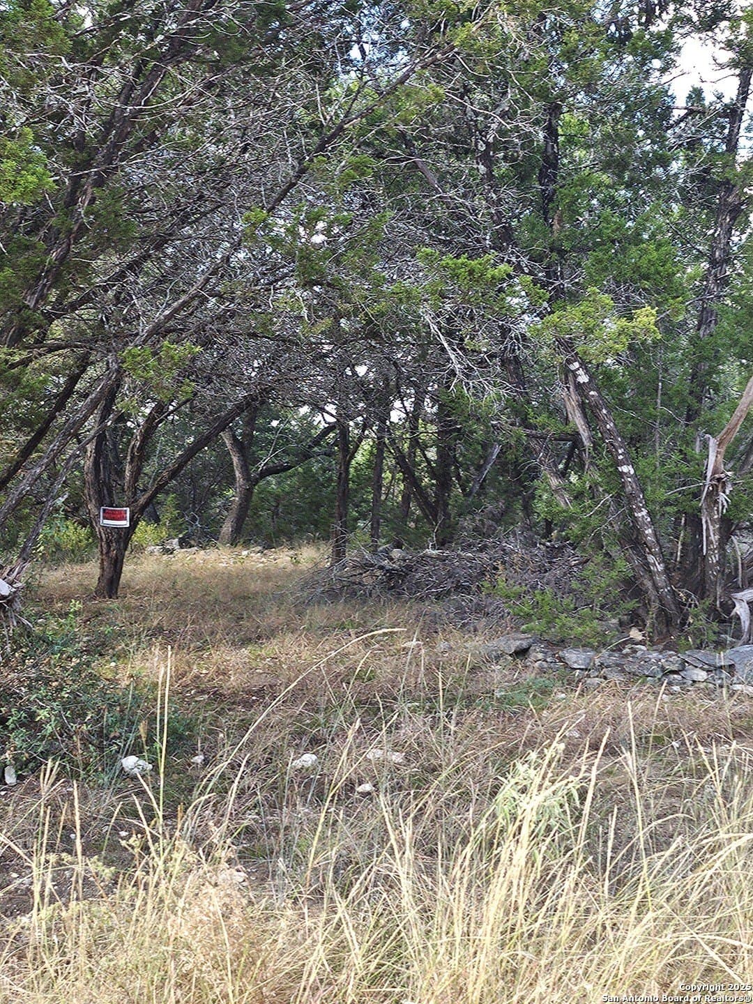 0.39 acres in Comal County gallery image 2