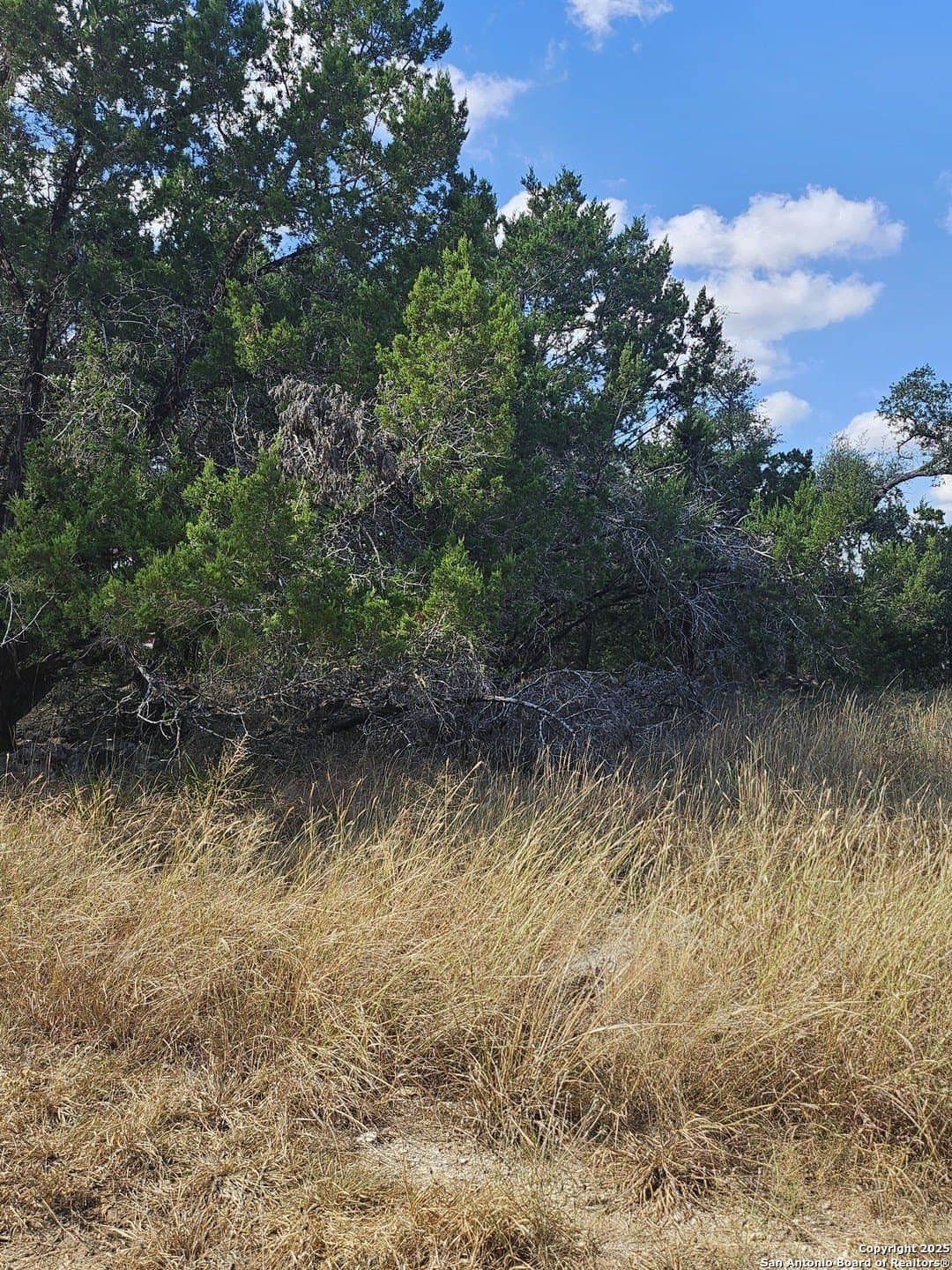 0.39 acres in Comal County - photo 11