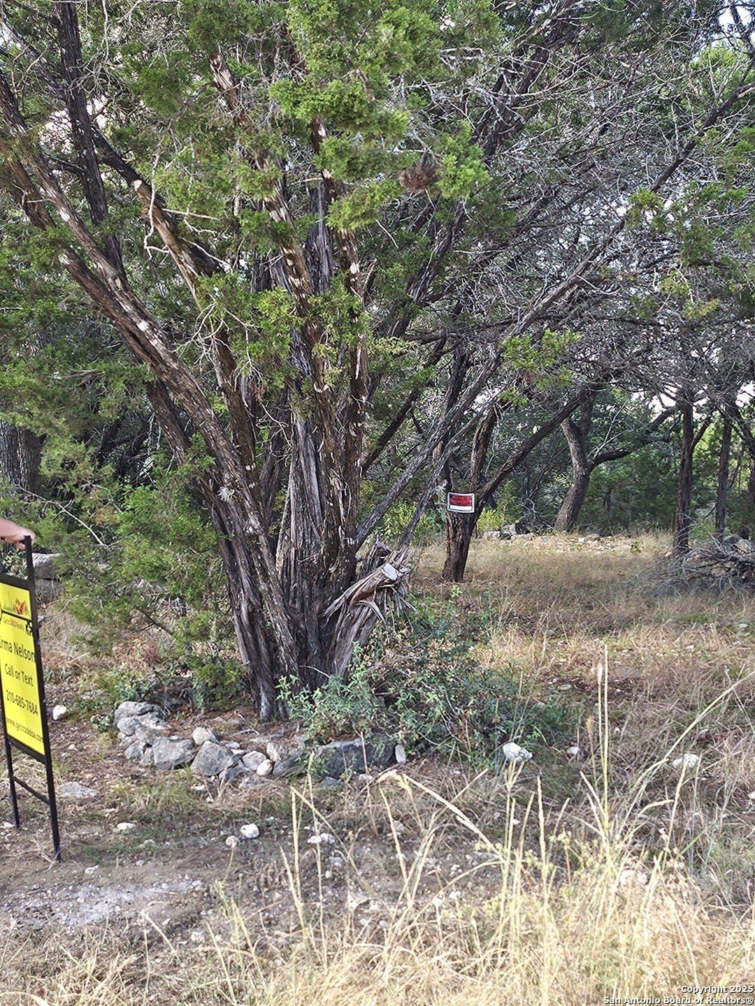 0.39 acres in Comal County gallery image 4