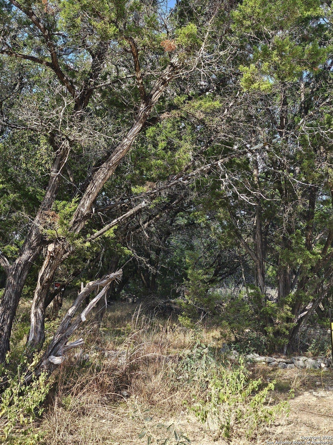 0.39 acres in Comal County - photo 9