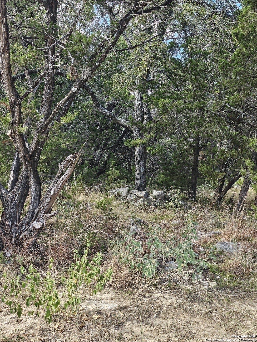 0.39 acres in Comal County - photo 7