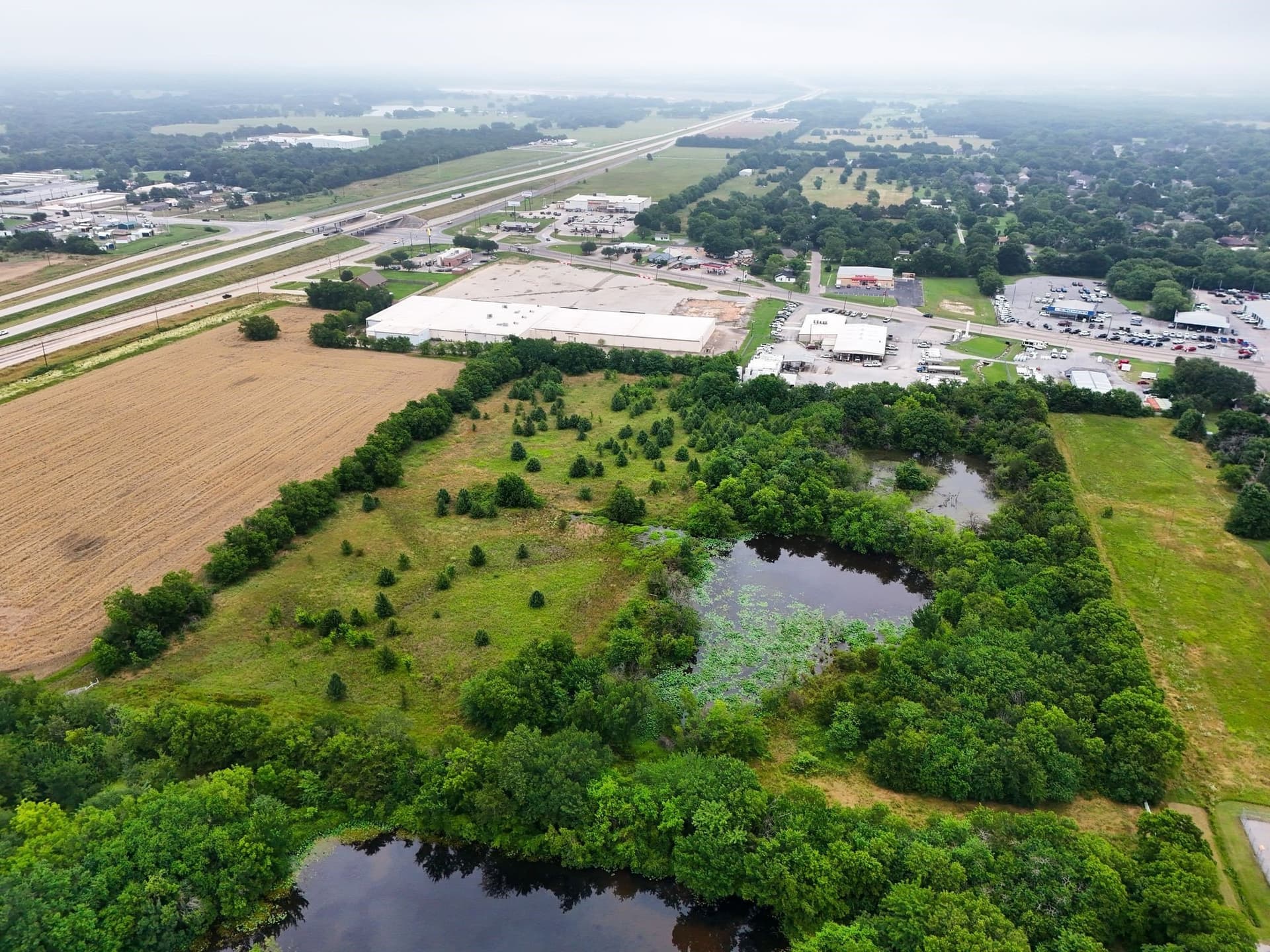 12.03 acres in Fannin County gallery image 3