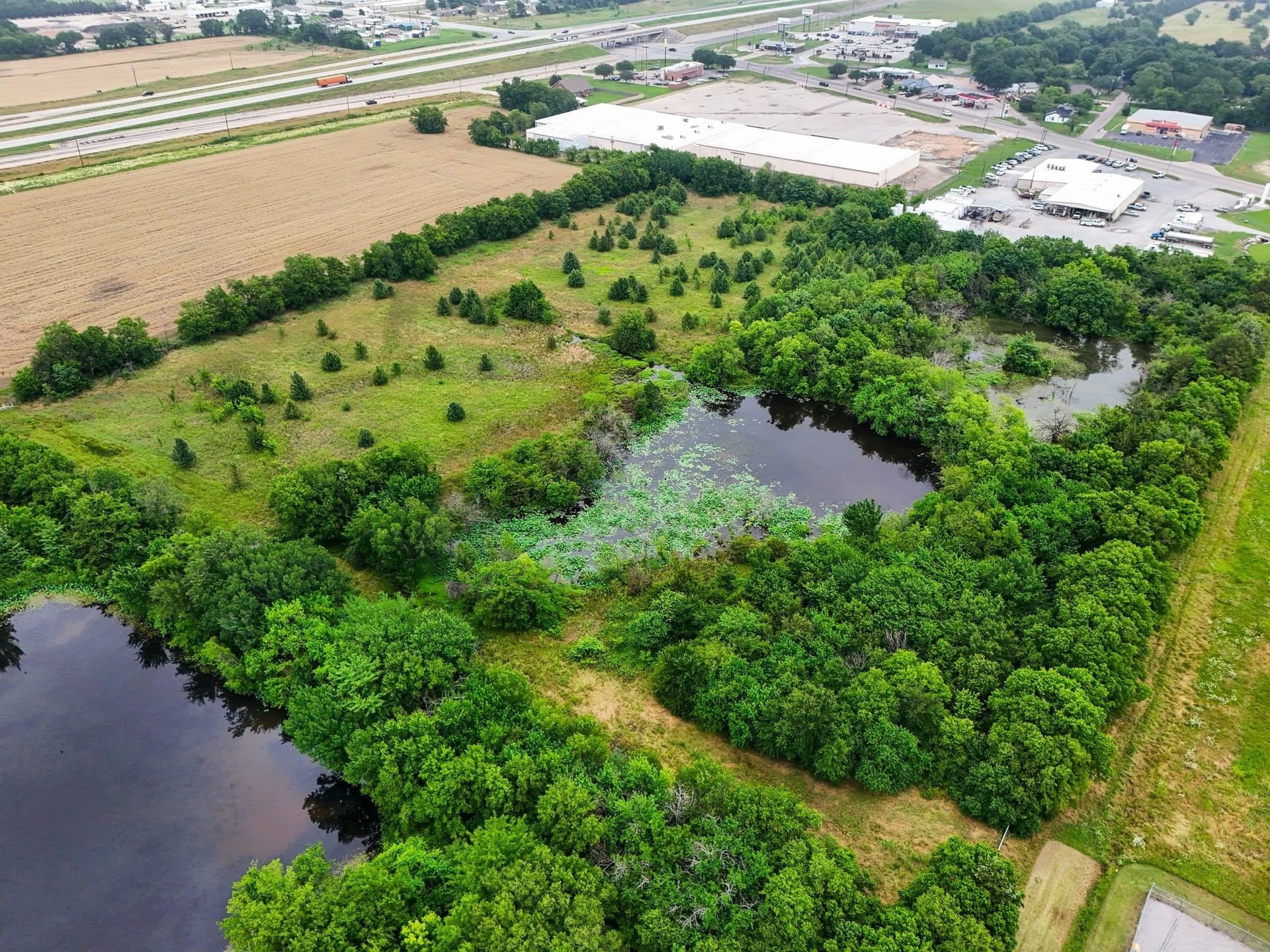 12.03 acres in Fannin County - photo 7