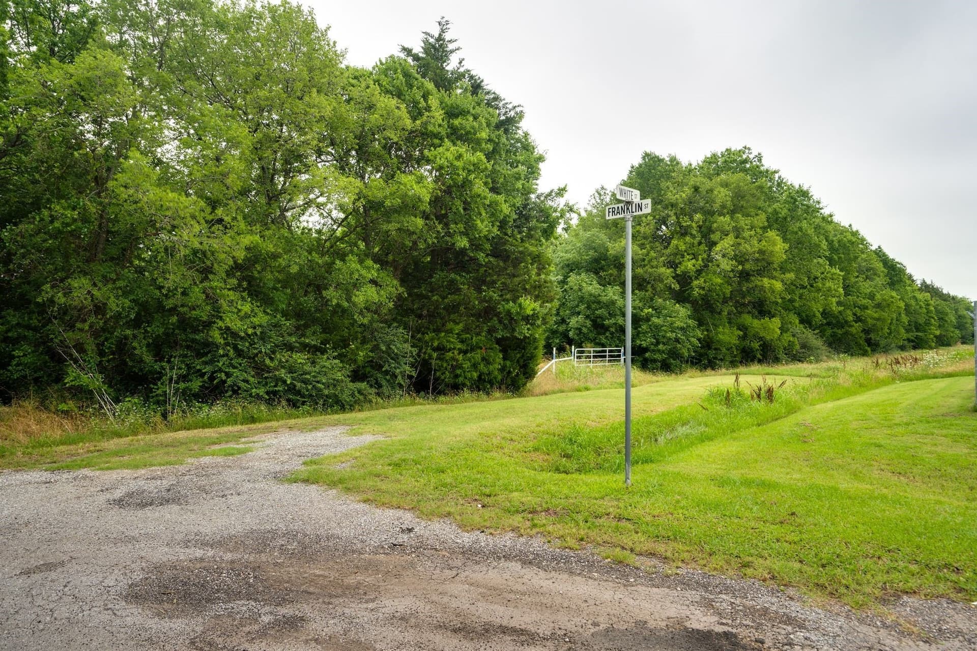 12.03 acres in Fannin County gallery image 4