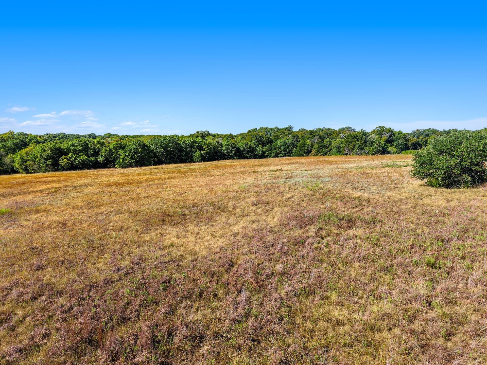 36.72 acres in McLennan County - photo 5