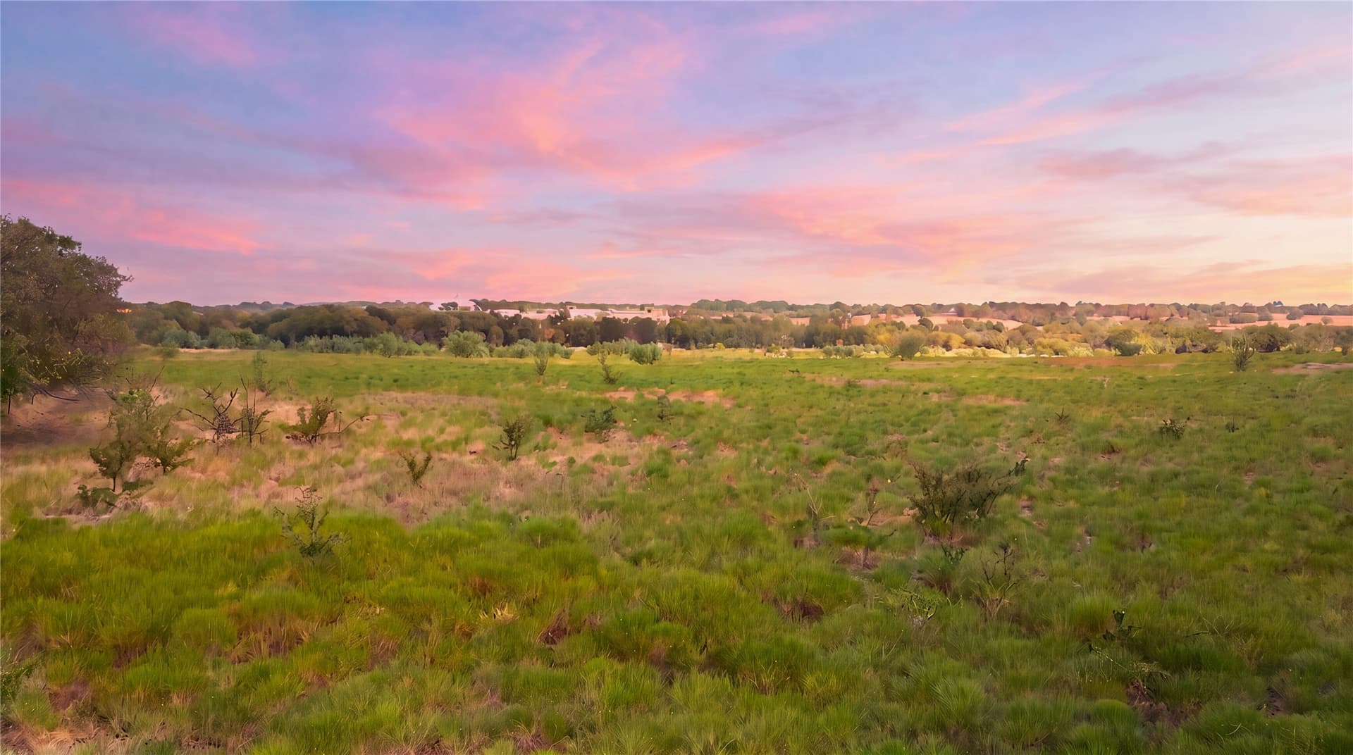 20 acres in Collin County - photo 4