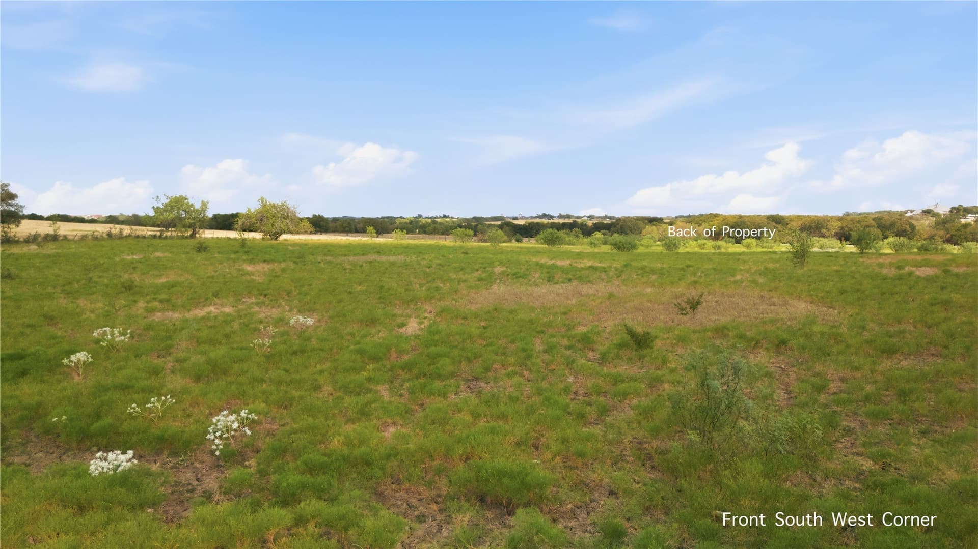 20 acres in Collin County - photo 13