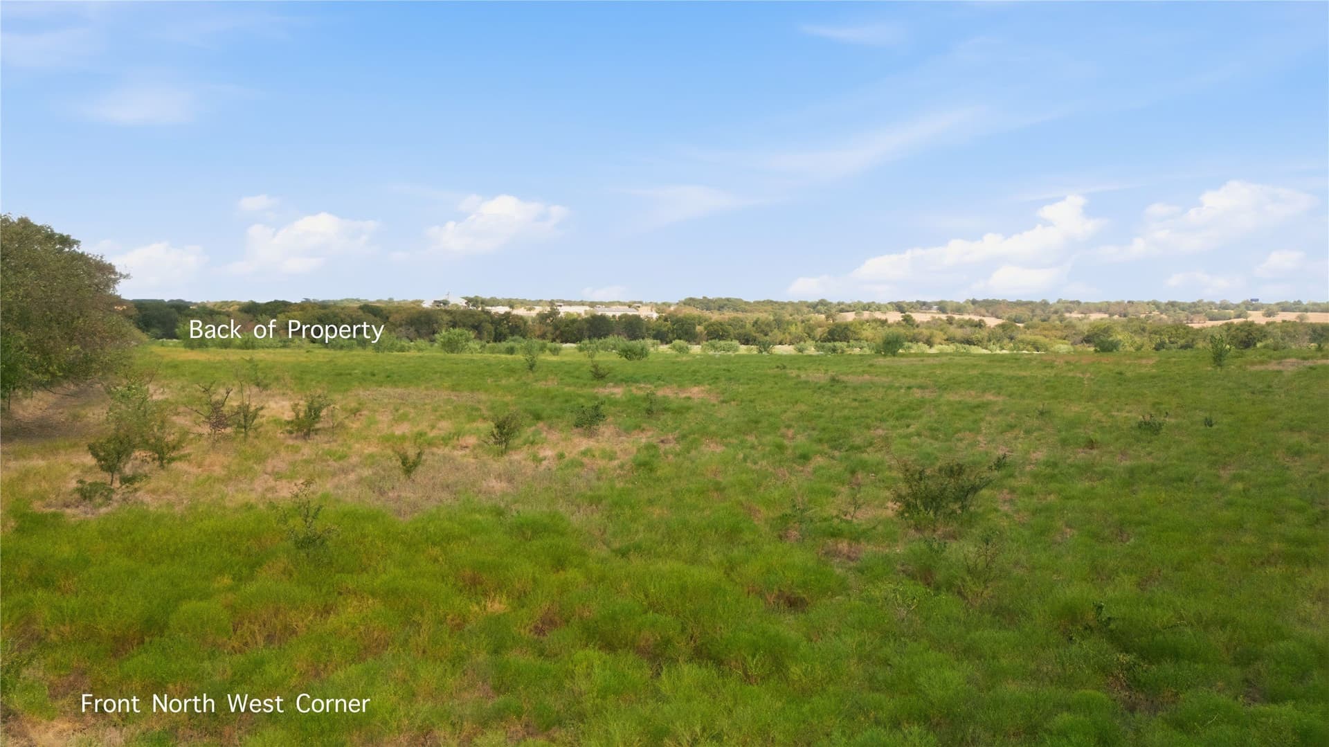 20 acres in Collin County - photo 14