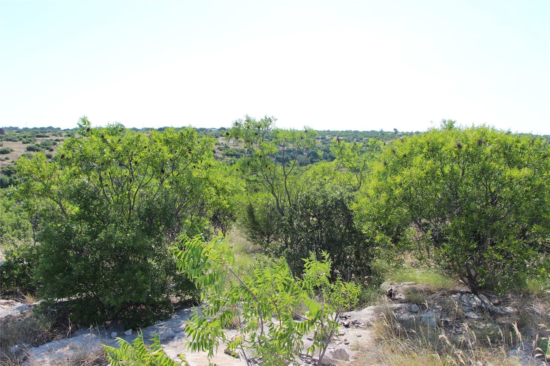 0.1 acres in Palo Pinto County gallery image 2