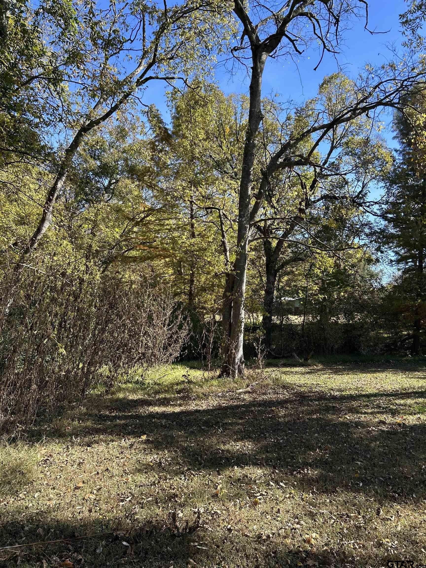 0.59 acres in Franklin County gallery image 4