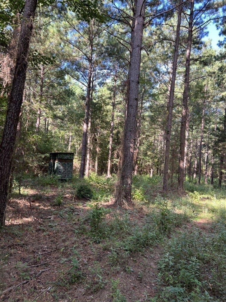 48 acres in Panola County - photo 22