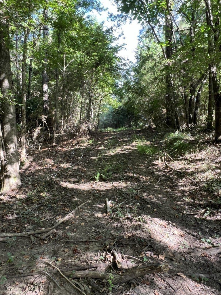 48 acres in Panola County - photo 20