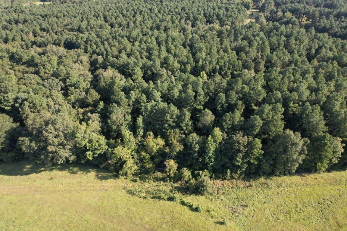 48 acres in Panola County - photo 6