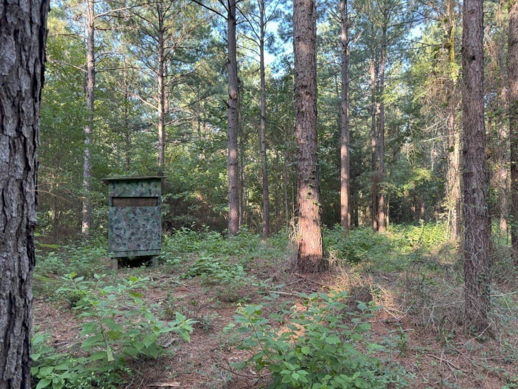 48 acres in Panola County - photo 32