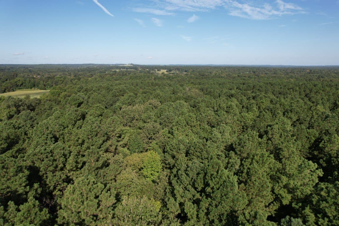 48 acres in Panola County - photo 14