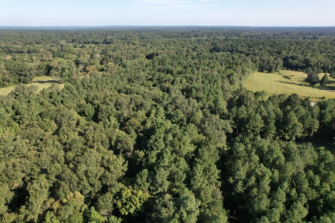 48 acres in Panola County - photo 8