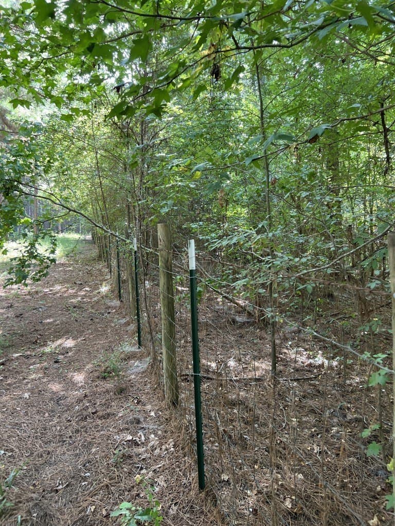 48 acres in Panola County - photo 30