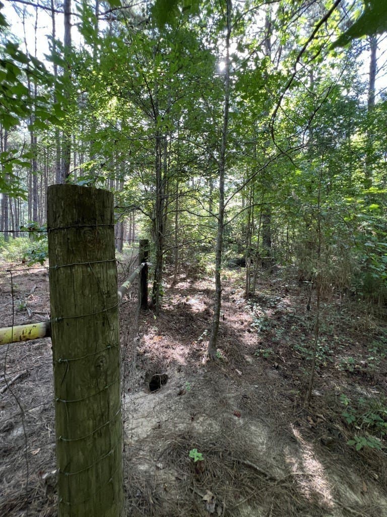 48 acres in Panola County - photo 26