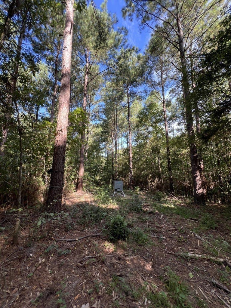 48 acres in Panola County - photo 23