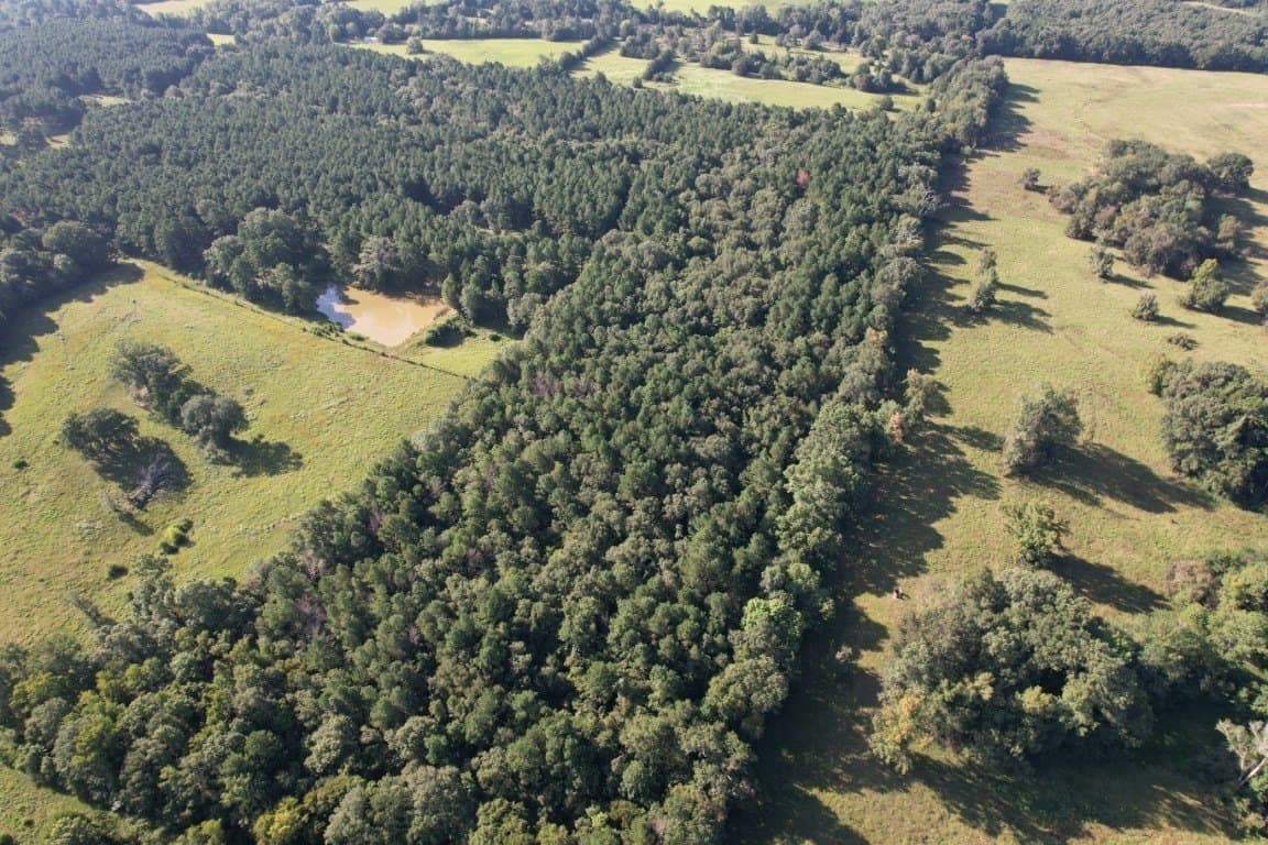 48 acres in Panola County - photo 9
