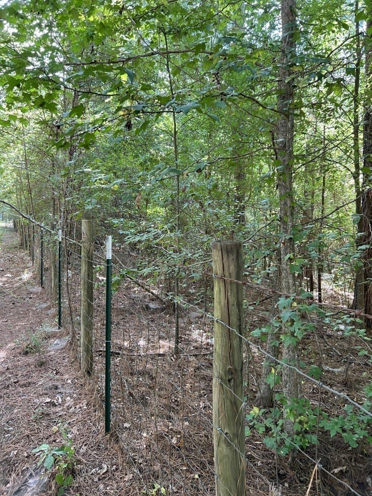 48 acres in Panola County - photo 29