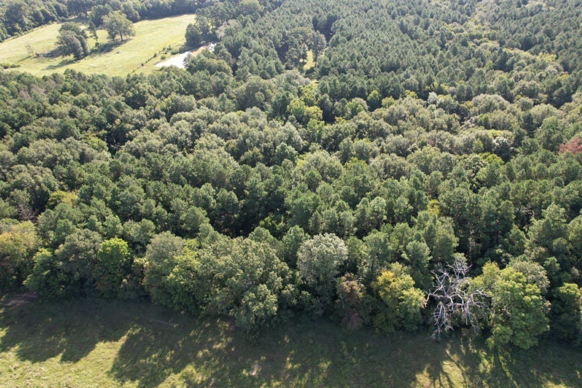 48 acres in Panola County - photo 16