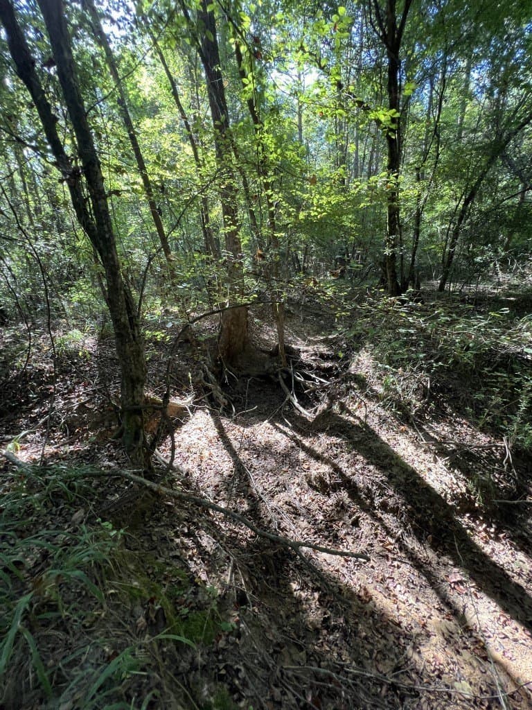48 acres in Panola County - photo 27