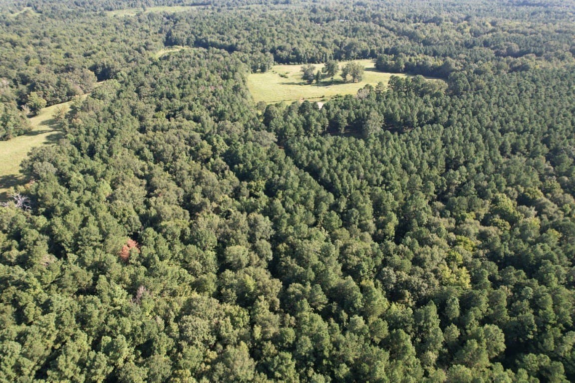48 acres in Panola County - photo 12