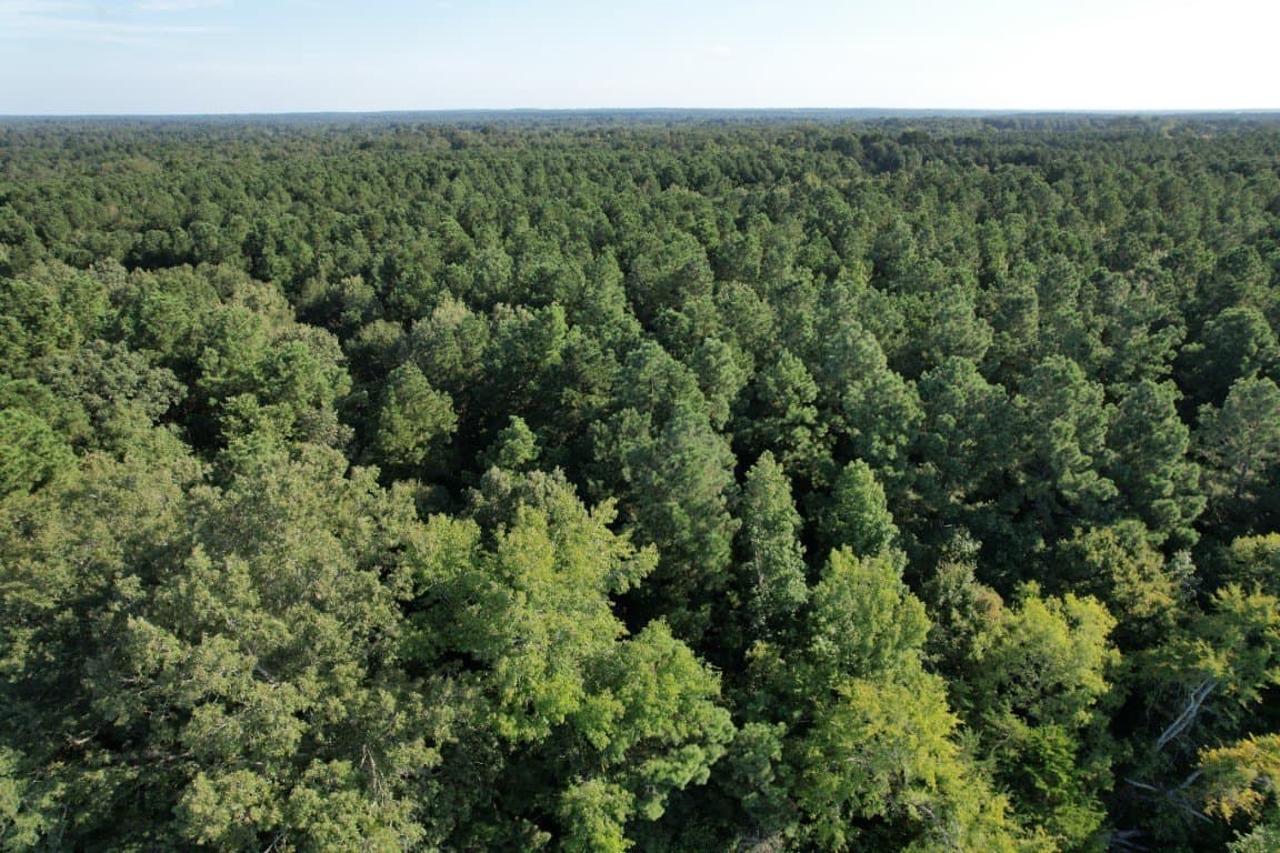 48 acres in Panola County - photo 7