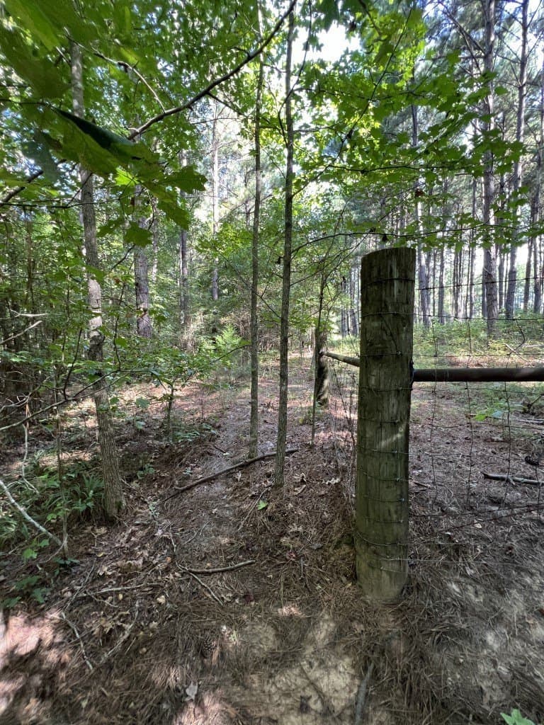 48 acres in Panola County - photo 25