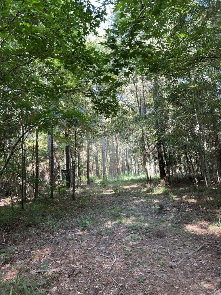 48 acres in Panola County - photo 21
