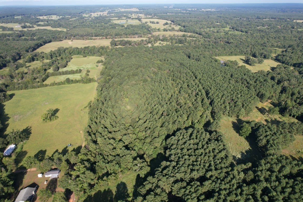 48 acres in Panola County gallery image 2