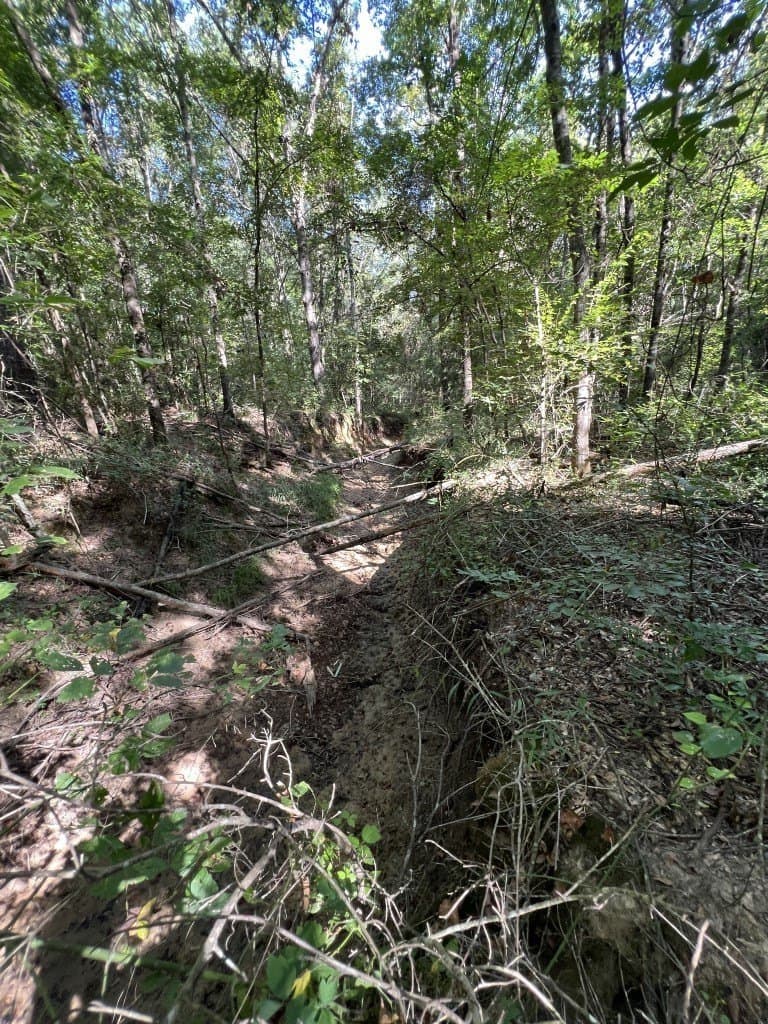 48 acres in Panola County - photo 28