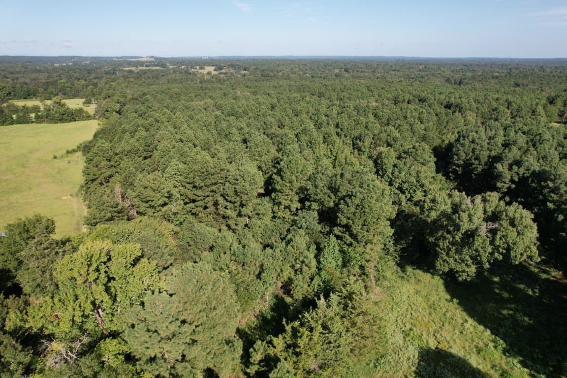 48 acres in Panola County - photo 13