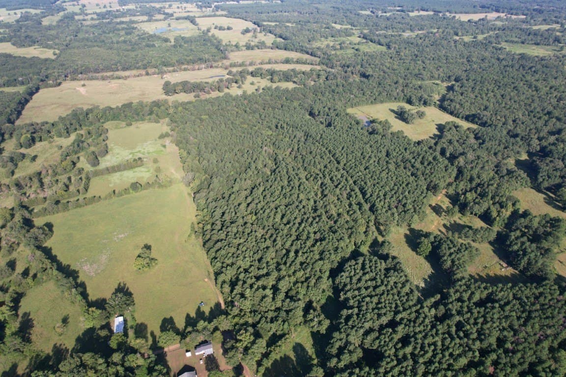 48 acres in Panola County gallery image 3