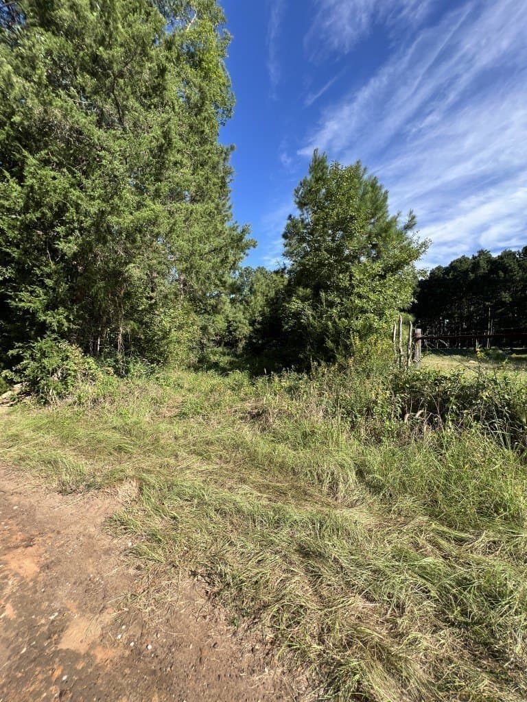 48 acres in Panola County - photo 18