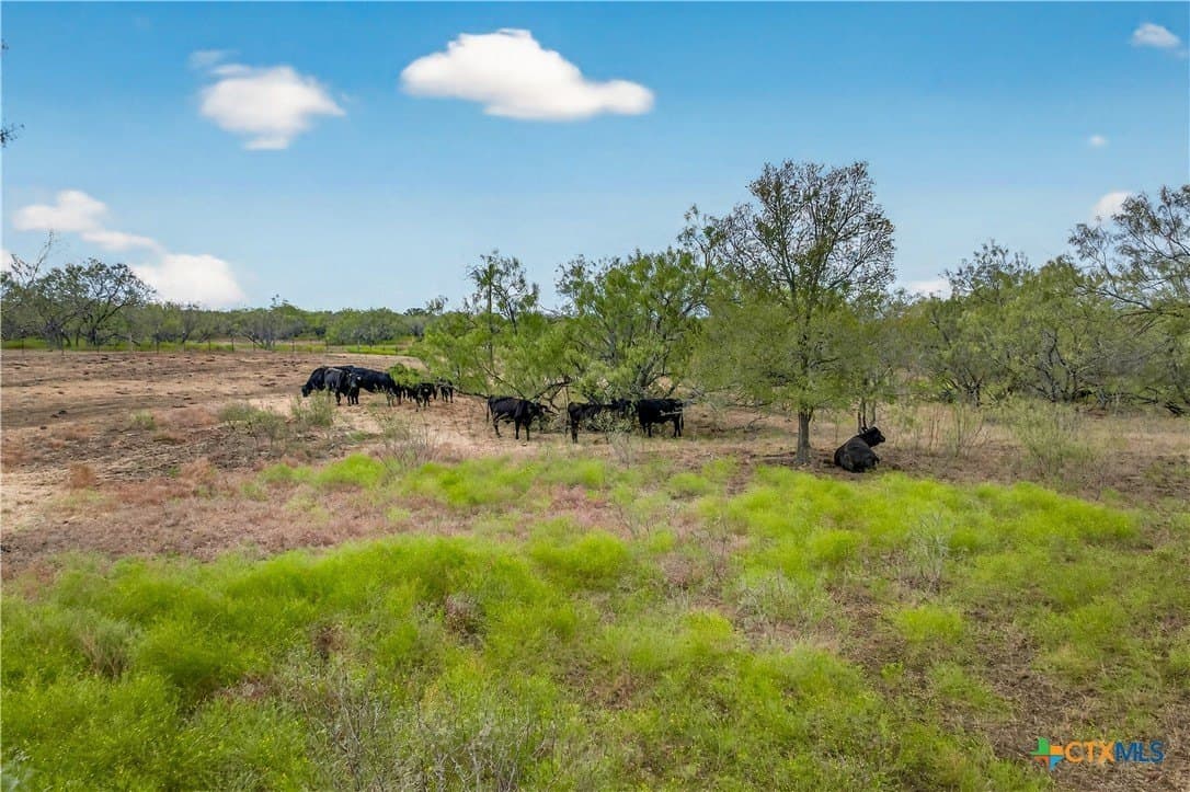 11 acres in Gonzales County featured view