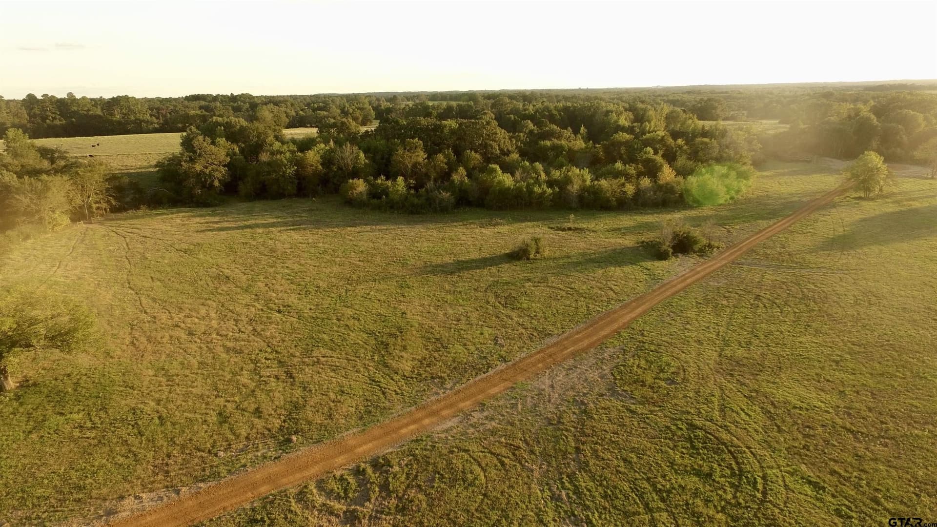10.1 acres in Titus County gallery image 2