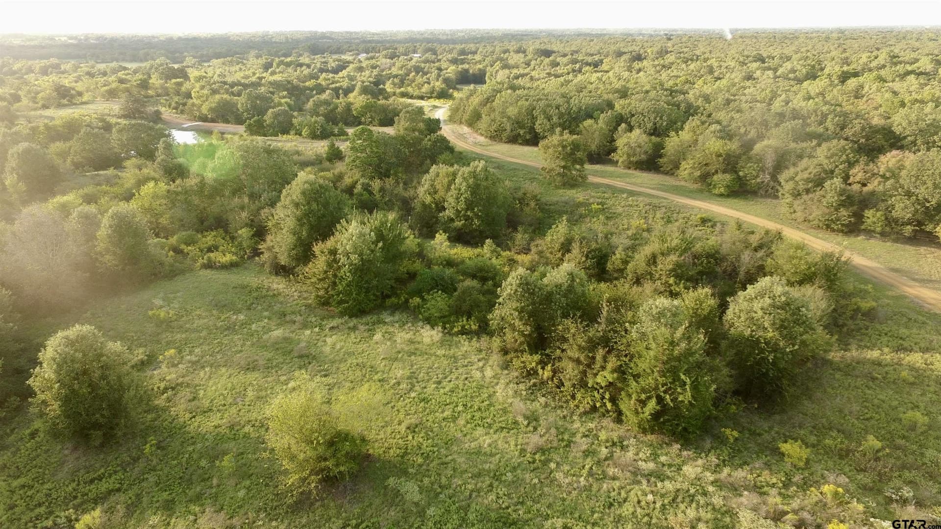 10.1 acres in Titus County gallery image 4