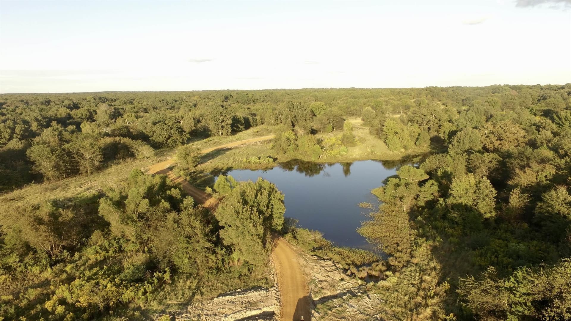 10.1 acres in Titus County featured view