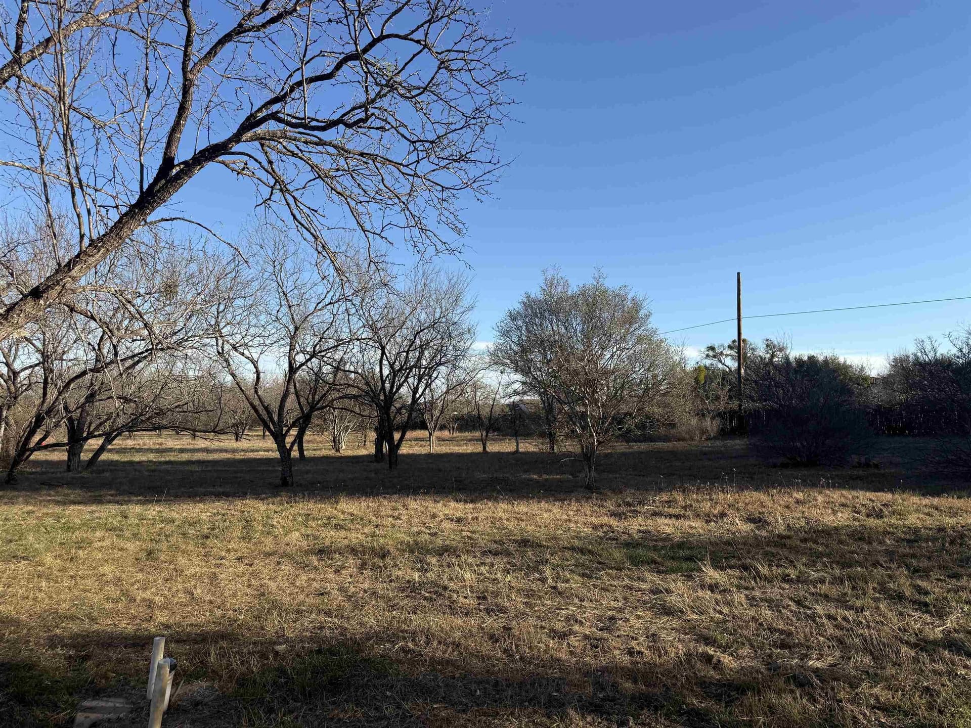0.12 acres in Llano County gallery image 4