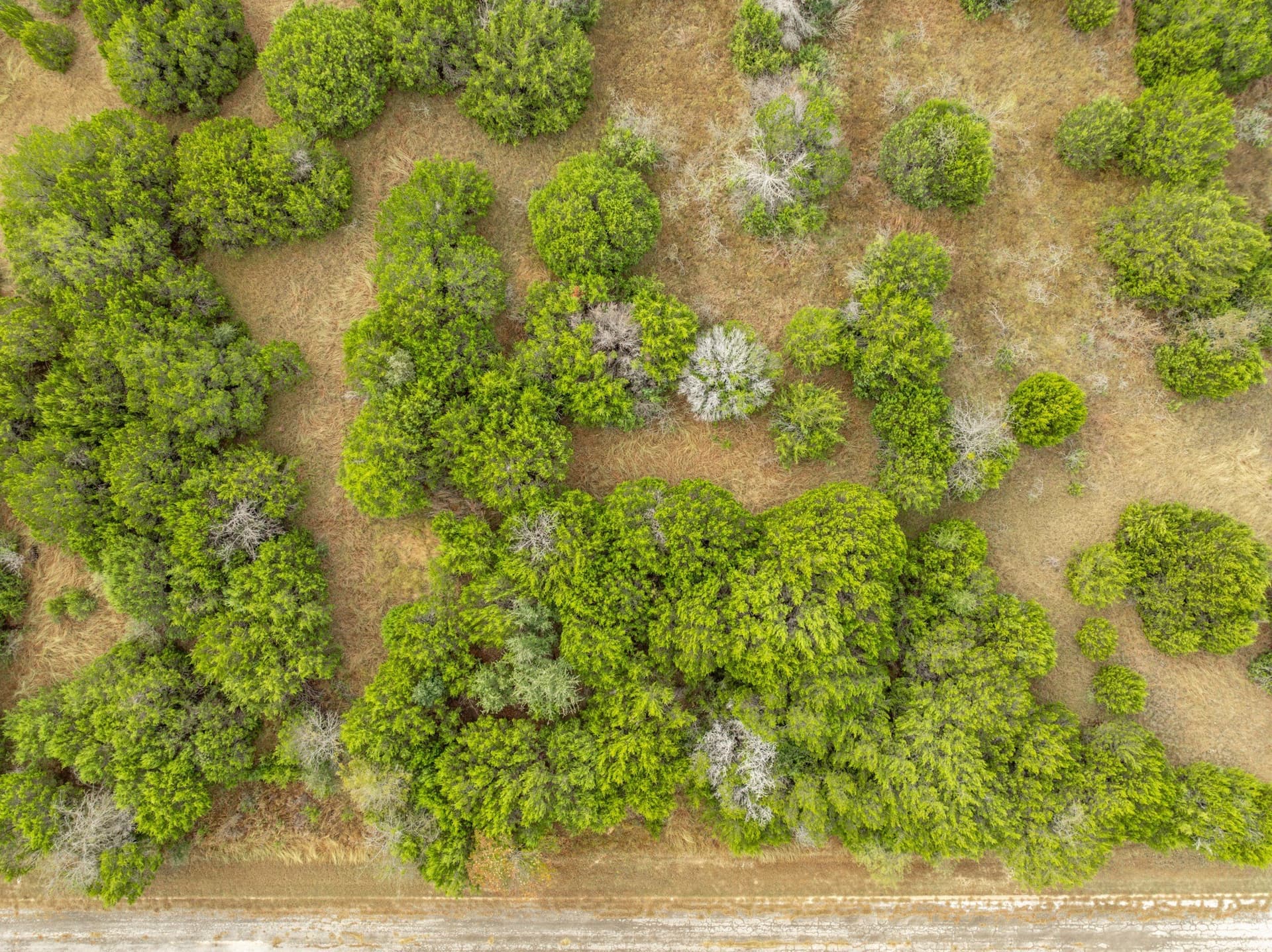 0.33 acres in Hill County gallery image 2